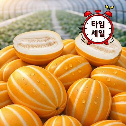 [푸릇아재] 성주 참외 고당도 꿀참외 산지직송 가정용 1박스