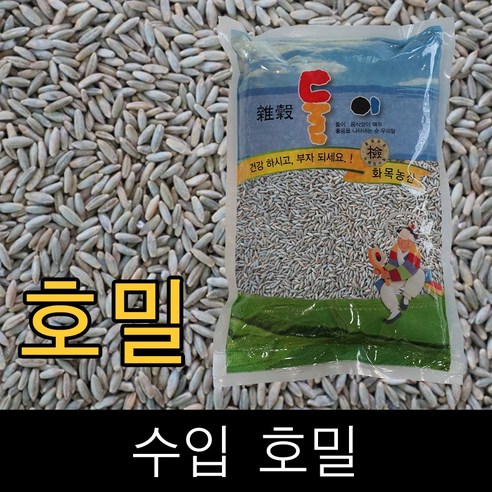 둘이 . 수입 . 호밀 . 10kg . 2025년산 . 무료배송