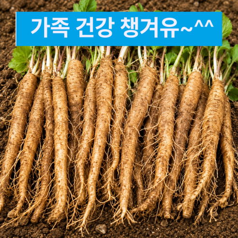 [한정특가] 강원도 정선 햇 더덕, 1박스, 1Kg