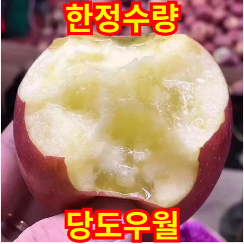 [가격반란]한정수량 당도우월 맛보증수표 못난이 부사사과