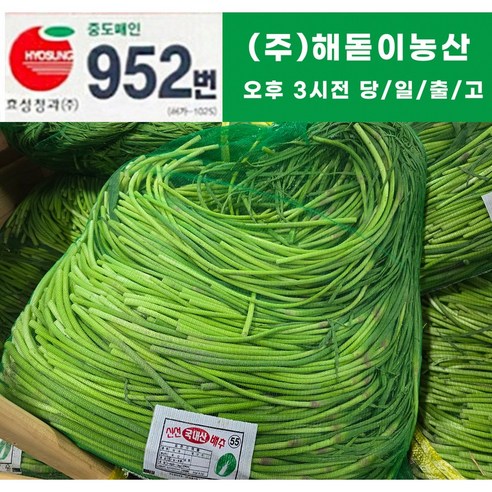 해돋이 농산 (26년)국내산 햇 마늘쫑(바라) 1kg 2kg 3kg 5kg 10kg(상세페이지꼭참조)