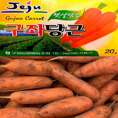 농부곳간 수분 가득한 제주 구좌 햇 흙당근