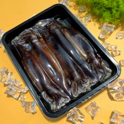 [로지프로] 동해 자연산 활오징어 5미 국산생물오징어