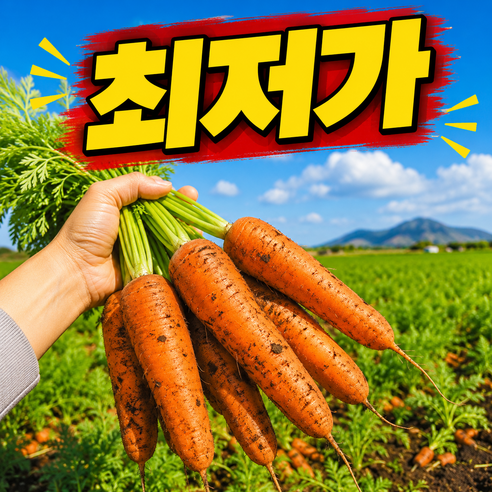 [마지막파격초특가] 재구매율1위 산지직송 환상의맛 햇당근
