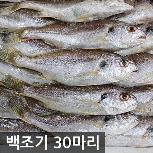 여수고기 국내산 백조기