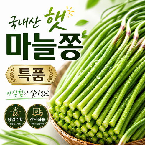 [더밭 한정특가] 국내산 햇 마늘쫑 특품 2026년 첫수확 아삭한 당일수확 신선직송, 1박스, 햇 마늘쫑 특품 3kg