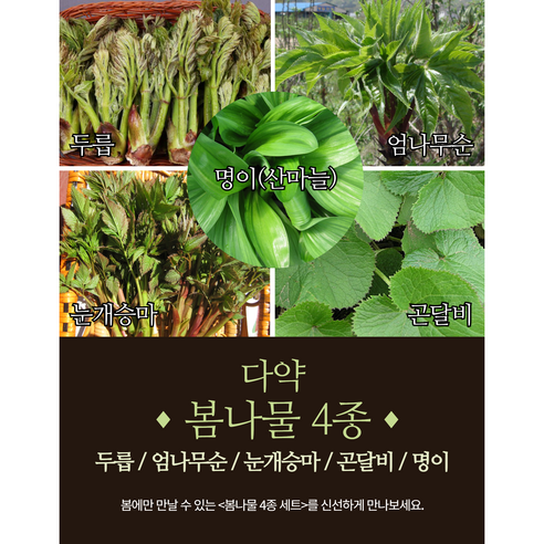 다약 봄나물4종 (두릅/ 엄나무순, 눈개승아, 곤달비, 잎명이) 제철 봄나물, 250g, 4개