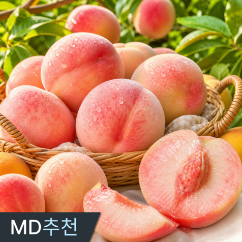 [하루10박스] 삼시세끼연구소 과즙폭발 햇 복숭아