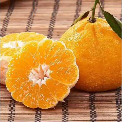 [한정수량특가]과즙듬뿍 신선가득 농가선별 제주 한라봉, 1박스, 2kg (중과)