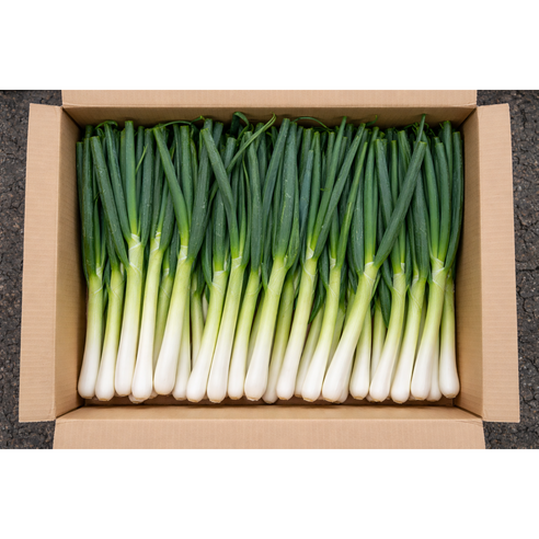 국내산 신선한 손질 대파, 1개, 3kg