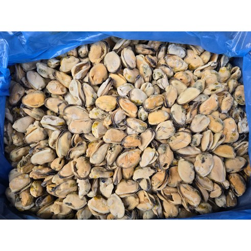 칠레 자숙 홍합살 9kg 100/200 업소용 냉동홍합살, 1개