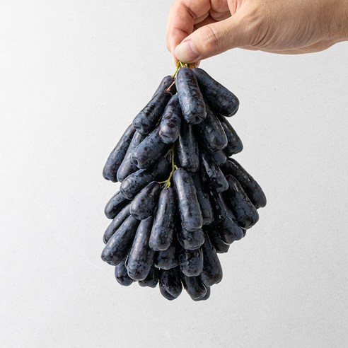 아삭하고 진한 가지포도 블랙 사파이어 포도, 1개, 500g