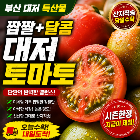 [재구매1위]짭짤달콤 50박스한정 초특가 대저토마토