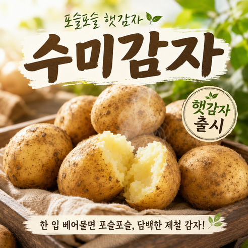 [40박스한정]제철특가 고소함가득 따끈따끈 맛좋은 수미감자, 1박스, 2kg(중)