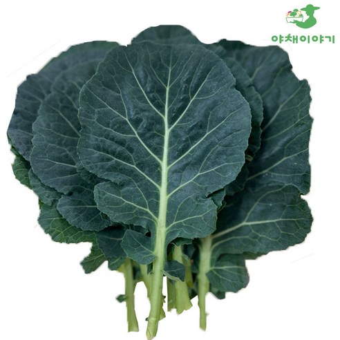 야채이야기 쌈케일 500g 케일 쌈, 1개, 500g