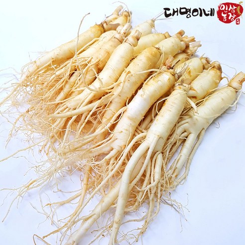 (세척)인삼수삼 오쿠홍삼용 원수삼 믹서 20뿌리내외 , 대명이네인삼