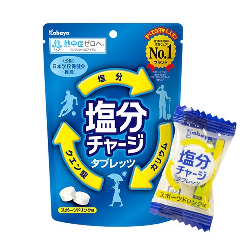 카바야 염분차지