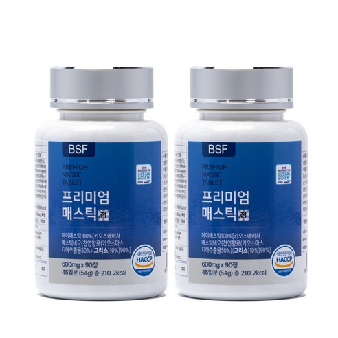 BSF 프리미엄 매스틱정 HACCP 인증 600mg x 90정