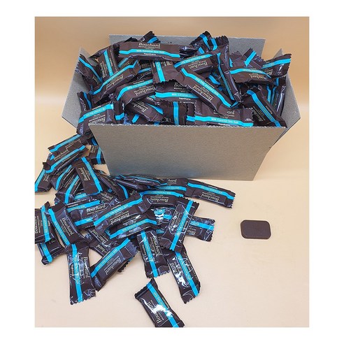 부샤드 밀크 초코 위드 카라멜 (씨솔트) 나폴리테인 초콜릿, 500g, 1개
