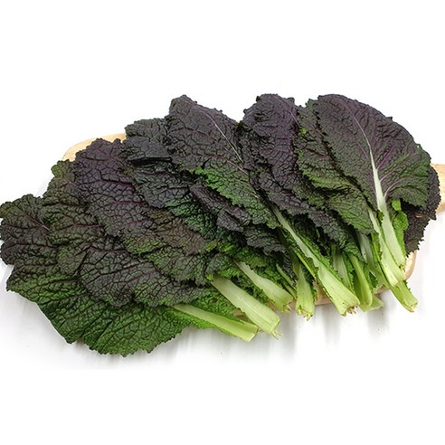 야채왕 적겨자 100g /300g/ 1kg /2kg 박스(1.8~2kg)
