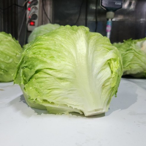 국산 양상추 포장 12통 최상품 1박스 가락시장 직송, 1박스, 6kg