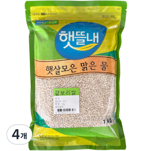 남보은농협 햇뜰내 국산 겉보리쌀