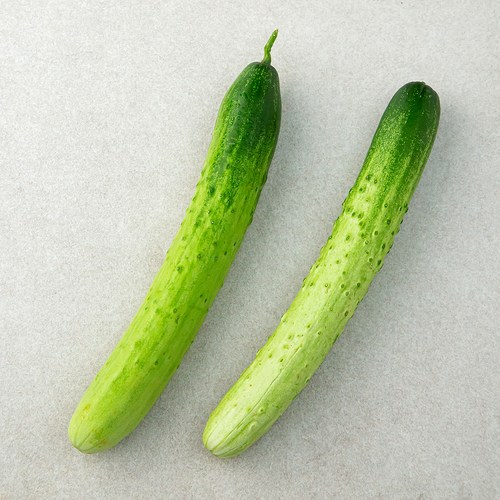 국내산 백오이 이미지