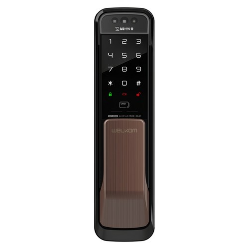 솔리티 얼굴인식 무타공 푸시필 손잡이 도어락 WP-500A, 고객직접설치