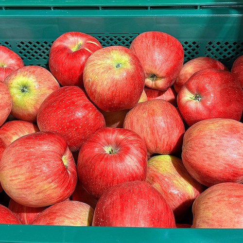 국내산 제철과일 고당도 햇 홍로 사과 가정용, 1개, 5kg