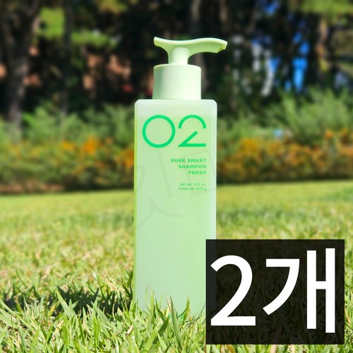 아모스 퓨어스마트 샴푸 프레시 프레쉬 산뜻한 타입 유분 비듬완화 두피케어, 500g, 2개