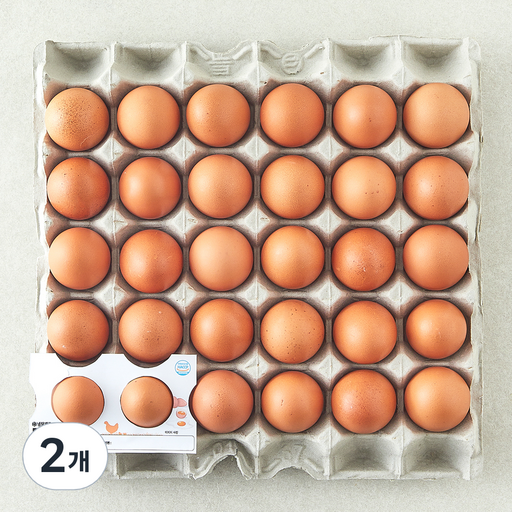 [로켓프레시] 무항생제 신선 대란 1.56kg