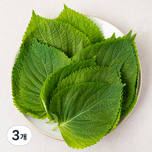 [로켓프레시] 국내산 깻잎