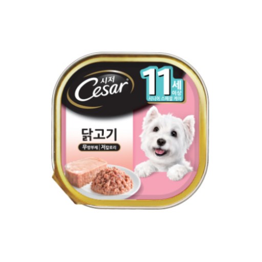 시저 시니어 강아지 주식캔