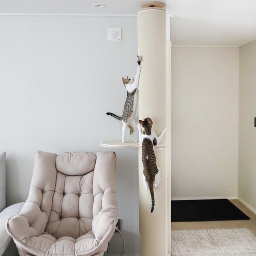 캣트럴파크 고양이 수직 스크래쳐 원목 캣타워 캣폴 본능적타워 2단 발판1개 226cm245cm, 1세트, 아이보리