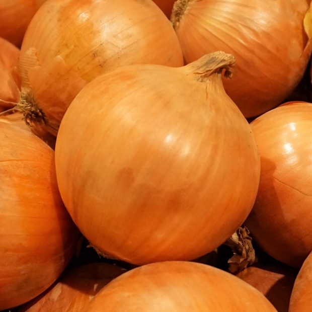 8f10d9fc37aae50f113f15b24c7233d83048ba33bfe5e0a7c5e5b94d3112.jpg