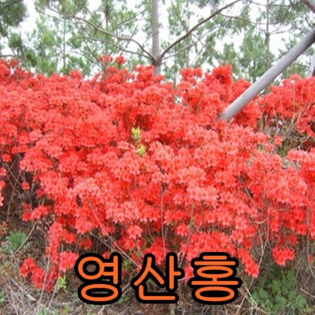 f0ce83b50b3d345845f9d72635105cd7c286f3baf46297c5ebb79b206a10.jpg