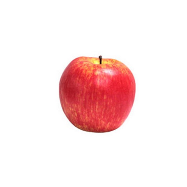 ec7d2cf8df82ead050df6eed674f8a94d2237fdc9addb536e009115ab3a9.jpg
