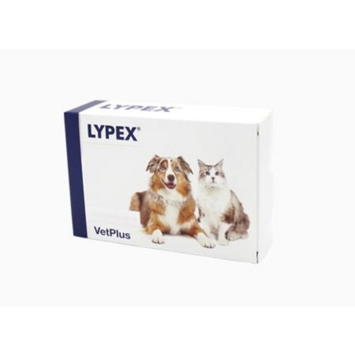 벳플러스 라이펙스 강아지 고양이 독 캣 구토 췌장효소 영양제 캡슐