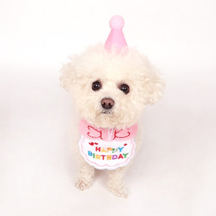 딩동펫 반려동물 생일파티 해피 케이프 모자 세트