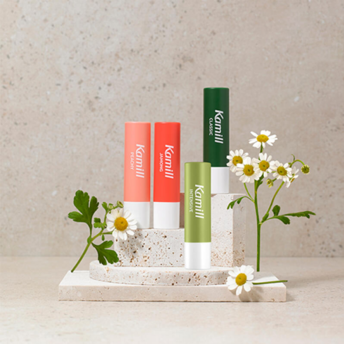 아트박스카밀 카밀 비건 립밤 4.2g, 인센티브, 4.2g, 1개