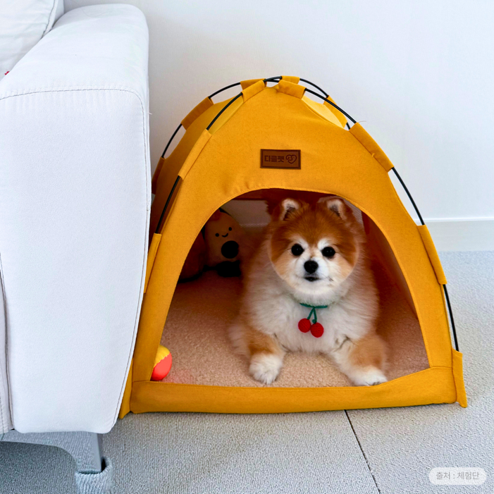 디클펫 텐트 하우스 강아지 고양이 집 사계절 숨숨집 폭신한 양면 방석 포함 디클펫 텐트 하우스 강아지 고양이 집 사계절 숨숨집 폭신한 양면 방석 포함