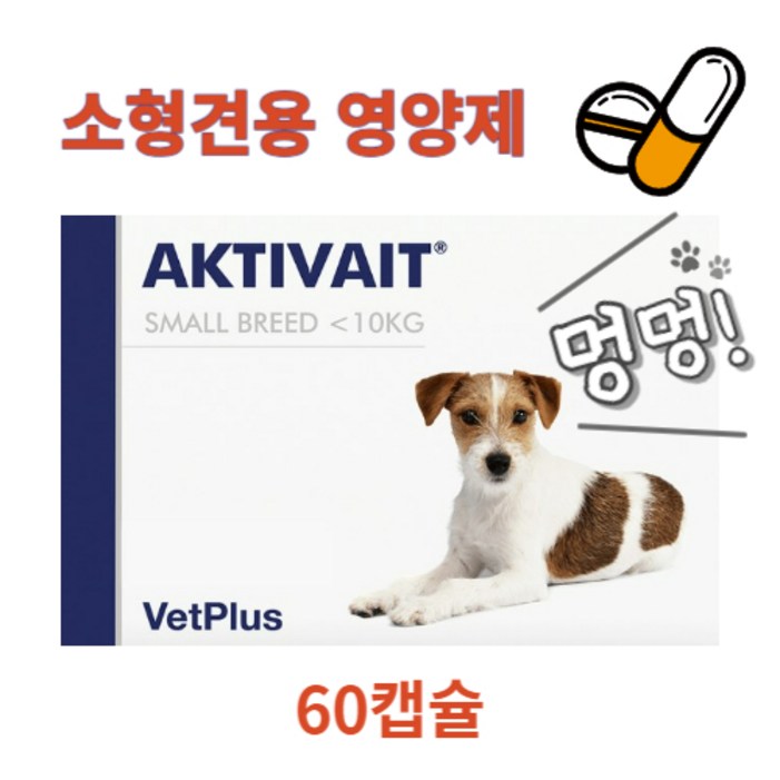 강아지 노령견 항상화제 치매 증상 완화 영양제 AKTIVAIT Capsules 액티베이트 캡슐 60정