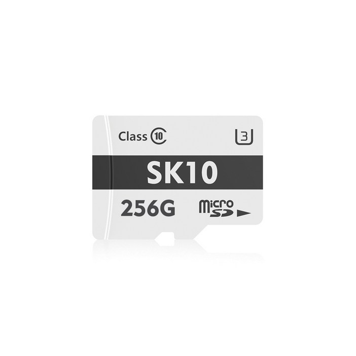 액센 SK10 Micro SD, 256GB, 1개