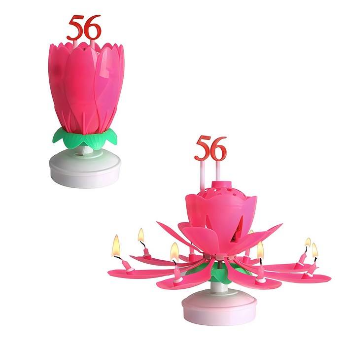 파티라이프 회전 멜로디 생일축하 숫자 연꽃초 + 숫자세트 2p