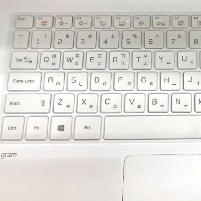 잇버스 그램 15Z970 / 15Z975 / 15Z980 / 15Z990 / 15Z995 / 15Z90N / 17Z990 / 17Z995 / 15U590 / 15U40N / 15U50N / 15U70N / 15U50P 키스킨