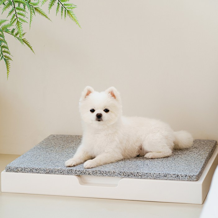 SUPERPET 반려동물 프레임  대리석 쿨매트