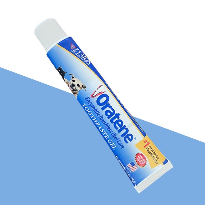 자이목스 오라틴 메인터넌스 투스페이스트 겔 70g 치약