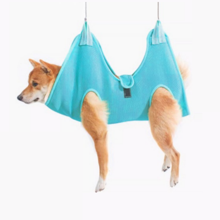 고냥냥 강아지 고양이 발톱 깎이 거치대, 파랑, 1개