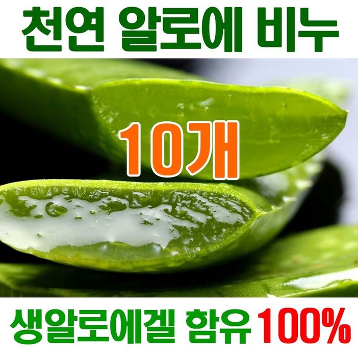 오후5시 당일발송 고농축 알로에비누 촉촉촉 보습진정 에너지 생 알로에천연비누 세수비누 비누 알로에 세안비누 천연 얼굴 YB맘, 100g, 10개