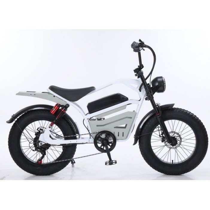 Tengben 20인치 2중휠 전기 자전거, 48V 15.6AH 750W, 알루미늄